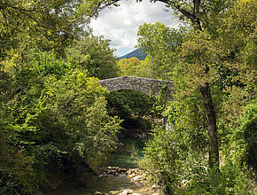 Agrandir l'image (fenêtre modale)