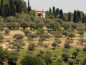 Agrandir l'image (fenêtre modale)