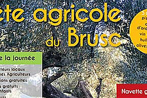 Agrandir l'image
