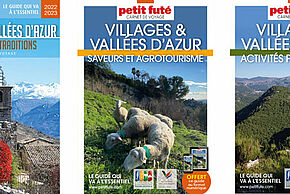Agrandir l'image
